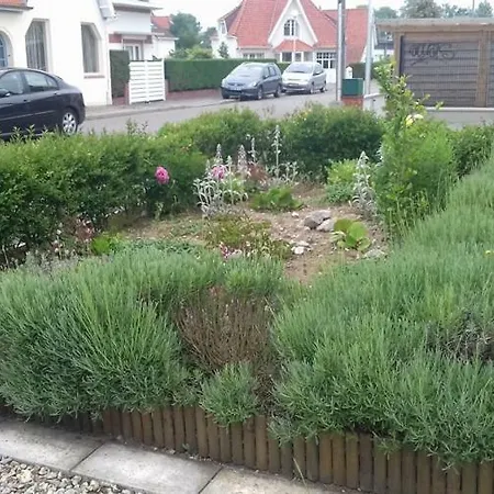 L'estran Nyaraló